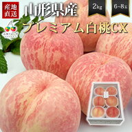 【2026年完売】2027年8月頃～予約開始予定|硬い桃 プレミアム 白桃 CX 約2kg 6〜8玉 山形県産 桃 大玉 プ…