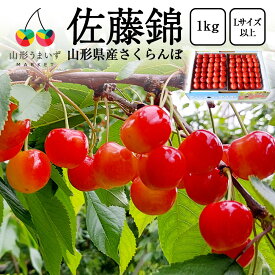 厳選 さくらんぼ 佐藤錦 1kg ( Lサイズ 以上 / 並び詰め / 500g×2 ) 山形 山形県産 サクランボ ギフト 贈り物 プレゼント 果物 フルーツ 人気 1キロ チェリー 山形県 産地直送 期間限定 高級 贈答品 お取り寄せ お祝い 家庭用