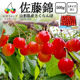 厳選 さくらんぼ 佐藤錦 500g ( Lサイズ 以上 / 並び詰め ) 山形 山形県産 サクランボ ギフト 贈り物 プレゼント 果物 フルーツ 人気 家庭用 チェリー くだもの 産地直送 お彼岸 お中元 御中元 おすすめ 高級 贈答品 お祝い