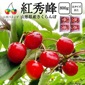 【 6月下旬頃発送予定 】 厳選 さくらんぼ 紅秀峰 800g ( 2Lサイズ 以上 / 200g×4パック ) サクランボ チェリー ギフト プレゼント 山形 贈答品 山形県産 贈り物 お中元 内祝い 国産 フルーツ くだもの 果物 高級 家庭用 お取り寄せ 産地 直送 L以上