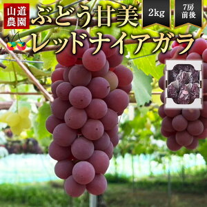 y9{`10{zԂǂ bhiCAK iCAK 2kg 7[ R` R`Y R`Ԃǂ R` uhE  킠  t[c ʕ  { {̖o H̖o Yn 