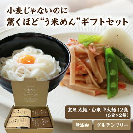 モチモチ♪ ヘルシー【送料無料】無添加 う米めん 白米 玄米 太麺 100g×全12食 セット お徳用 国産 米粉麺 お米 グルテンフリー 麺 食品 おいしい うどん ギフト プレゼント おススメ 人気 血圧 健康 食品 糖質制限 ダイエット 米粉 簡単 アレンジ 米粉めん