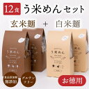 モチモチ♪ ヘルシー【送料無料】無添加 う米めん 白米 玄米 太麺 100g×全12食 セット お徳用 国産 米粉麺 お米 グルテンフリー 麺 食品 おいしい うどん ギフト プレゼント おススメ 人気 血圧 健康 食品 糖質制限 ダイエット 米粉 簡単 アレンジ 米粉めん