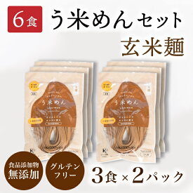 モチモチ♪ ヘルシー【ギフト / 送料無料】無添加 う米めん 玄米 太麺 100g×全6食(3食×2パック) お徳用 玄米麺 グルテンフリー うまい 麺 小麦アレルギー うどん パスタ プレゼント 贈り物 健康 食品 血糖値 糖質制限 食物繊維 ダイエット グルメ 米粉めん