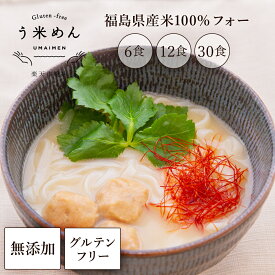 モチモチ ヘルシー【送料無料】無添加 う米めん フォー 100g×6食 12食 30食 セット お徳用 国産 米粉麺 お米 グルテンフリー 麺 ベトナム pho 米麺 ギフト プレゼント おすすめ 健康 糖質制限 食物繊維 美容 ダイエット 米粉 ヘルシー 簡単 アレンジ 取り寄せ 米粉めん