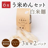 モチモチ♪ ヘルシー【ギフト / 送料無料】無添加 う米めん お徳用 100g×全6食セット(3食×2パック) 国…