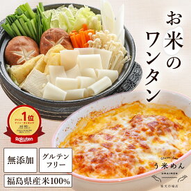 モチモチ ヘルシー【送料無料】無添加 う米めん 白米麺 ワンタン 100g×4食 / 6食 / 12食 / 30食 グルテンフリー 米粉麺 雲吞 小麦不使用 乳成分不使用 国産 米麺 ギフト プレゼント おすすめ 人気 健康 血圧 食物繊維 ダイエット 米粉 ヘルシー アレンジ 米粉めん ラザニア
