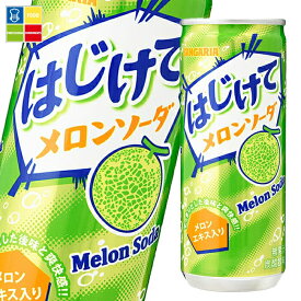 サンガリア はじけてメロンソーダ250g缶×1ケース（全30本） 送料無料