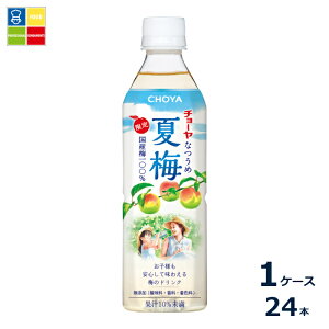 �`���[�� �Ĕ~500g×1�P�[�X�i�S24�{�j��������