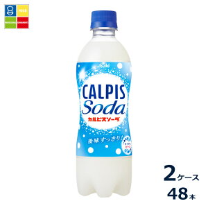 �A�T�q �J���s�X�\�[�_500ml×2�P�[�X�i�S48�{�j��������