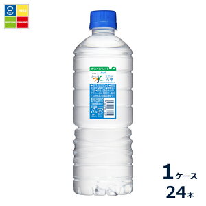 �A�T�q ���������� �V�R�� �V���v��eco���x��600ml×1�P�[�X�i�S24�{�j��������