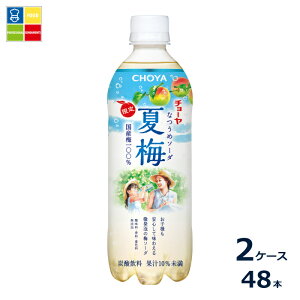 �`���[�� �Ĕ~�\�[�_500g×2�P�[�X�i�S48�{�j�������� �V���i �V����