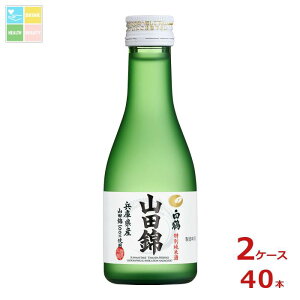 ߎ   ʏĎ Rc180mlr×2P[XiS40{j