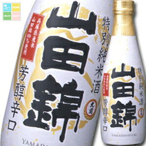   ʏĎ Rc300mlr×1P[XiS12{j 