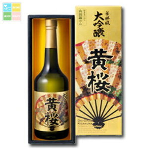  ؏˕  iϔj720mlr×2P[XiS12{j 