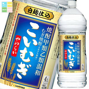 Tb| baĒ ނ炩 25x4Lybg×2P[XiS8{j 