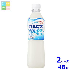 ATq JsXEH[^[ 500ml×2P[XiS48{j