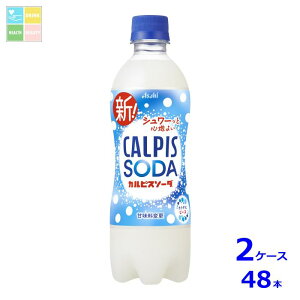 ATq JsX\[_500ml×2P[XiS48{j