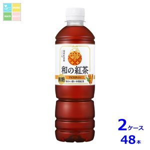 ATq a̍g  ACXeB[500ml×2P[XiS48{j