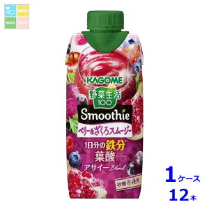 JS ؐ100 Smoothie x[X[W[330mlpbN×1P[XiS12{j