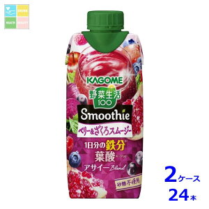 JS ؐ100 Smoothie x[X[W[330mlpbN×2P[XiS24{j