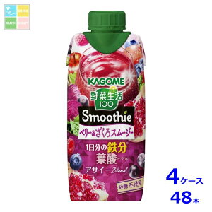 JS ؐ100 Smoothie x[X[W[330mlpbN×4P[XiS48{j