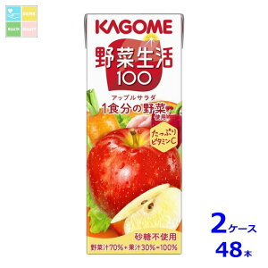 JS ؐ100 AbvT_200mlpbN×2P[XiS48{j