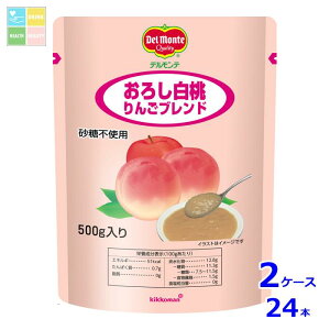 fe 낵񂲃uh500g×2P[XiS24{jyDPFz