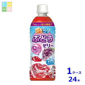 󂠂聦̔̈ MǑ΍ _Ch[ ՂV Ԃǂ[[490ml×1P[XiS24{j 