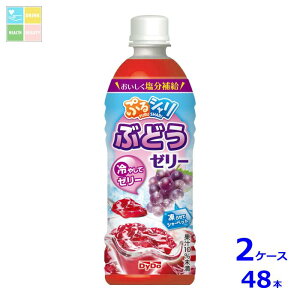MǑ΍ _Ch[ ՂV Ԃǂ[[490ml×2P[XiS48{j ytoz