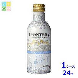 �����V���� �t�����e�� �X�p�[�N�����O280ml��×1�P�[�X�i�S24�{�j ��������
