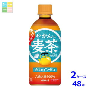 RJR[ ₩̔440ml×2P[XiS48{j
