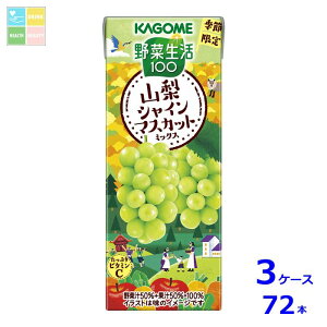 JS ؐ100 RVC}XJbg~bNX195mlpbN×3P[XiS72{j