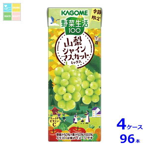 JS ؐ100 RVC}XJbg~bNX195mlpbN×4P[XiS96{j