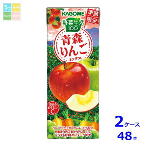 JS ؐ100 X񂲃~bNX195mlpbN×2P[XiS48{j