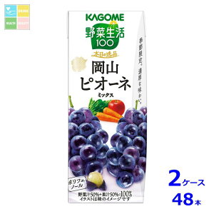 JS ؐ100 {̈i RsI[l~bNX195ml×2P[XiS48{j