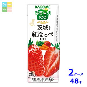 JS ؐ100 {̈i 錧Ygق؃~bNX195mlpbN×2P[XiS48{j