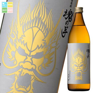 {V 25ẍ900mlr×1P[XiS12{j 