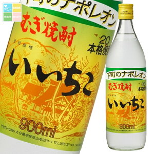 いいちこ 20度 900ml瓶×2ケース(全24本) 送料無料