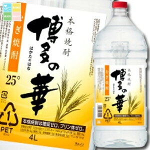 ������ 25�x �����̉� �� 4L�y�b�g×1�P�[�X�i�S4�{�j ��������