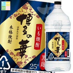  ̉ 25x4Lybg×1P[XiS4{j 