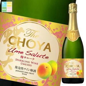 `[ ~ The CHOYA ~T[e750mlr×2P[XiS12{j 