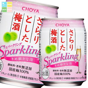 `[ ~ Ƃ~Y_250ml×2P[XiS48{j 