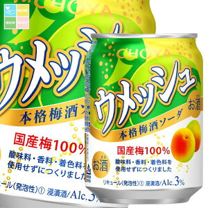 `[ ~ CHOYAEbV {i~\[_250ml×1P[XiS24{j 