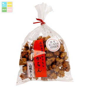 ꌧ cĉٌ ߍ]̂  R100g×4 