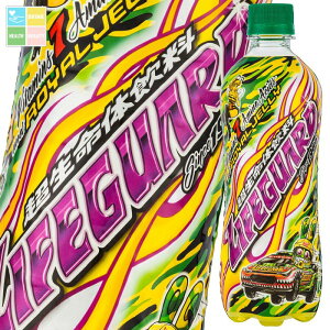 `FI CtK[h500ml×2P[XiS48{j 