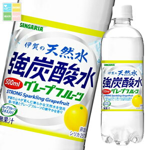 TKA ɉ̓VRY_O[vt[c500ml×2P[XiS48{j 