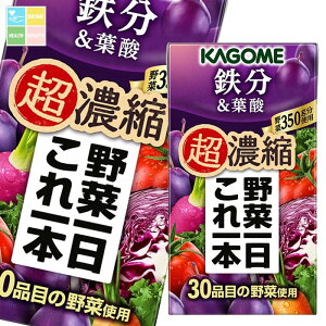 野菜一日これ一本 超濃縮 鉄分 125ml×48本 紙パック