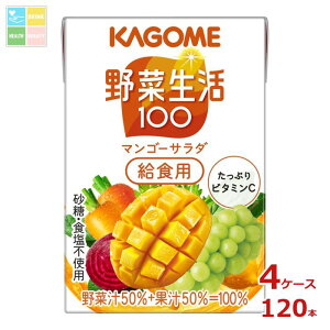 撅N[|t JS ؐ100 }S[T_ Hp100ml×4P[XiS120{j ycoz