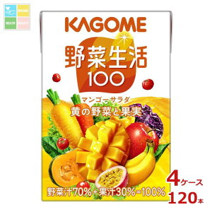 JS ؐ100 }S[T_100ml×4P[XiS120{j 